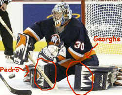 lcs hockey born again garth snow flyers