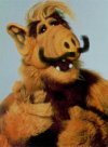 ALF?