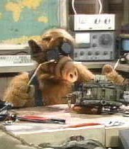 ALF