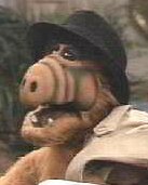 ALF