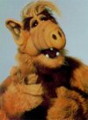 ALF